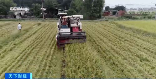 農業培育新進展 科技賦能未來農業