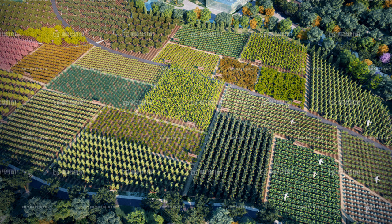 農(nóng)業(yè)培育與農(nóng)田旅游 自然場(chǎng)景的新融合