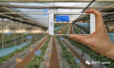 江蘇省數(shù)字農(nóng)業(yè)農(nóng)村工作要點(diǎn)發(fā)布，農(nóng)業(yè)培育迎來(lái)新機(jī)遇